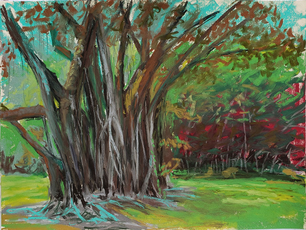 Ho'omaluhia Rubber Tree by Roger Tinius