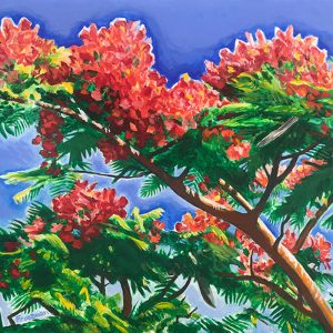 Royal Poinciana by David Friedman