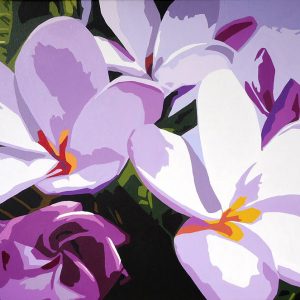 Pink Plumerias by Marti Wiese Rounds