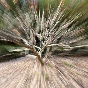 Untitled 3 by Marty Nikou