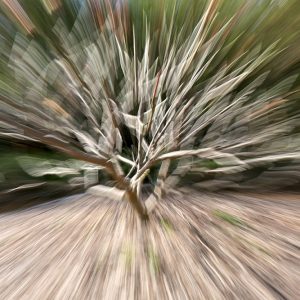 Untitled 3 by Marty Nikou