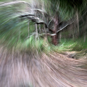 Untitled 4 by Marty Nikou