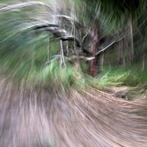 Untitled 4 by Marty Nikou