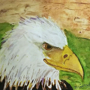 Eagle by Richard Pleasants