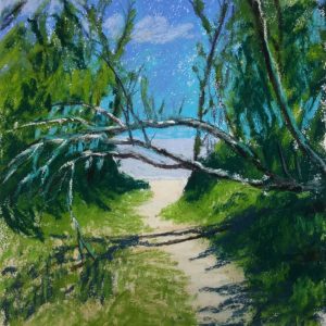 Beach Access by Roger Tinius