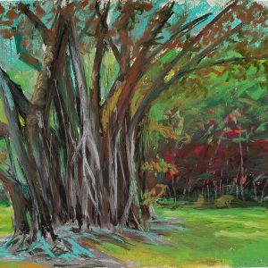 Ho'omaluhia Rubber Tree by Roger Tinius