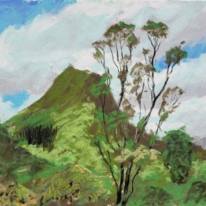 Maunawili by Roger Tinius
