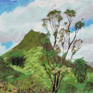 Maunawili by Roger Tinius