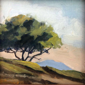 Beach Tree by Spencer Chang