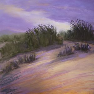 Kehoe Beach by Therese Babineau